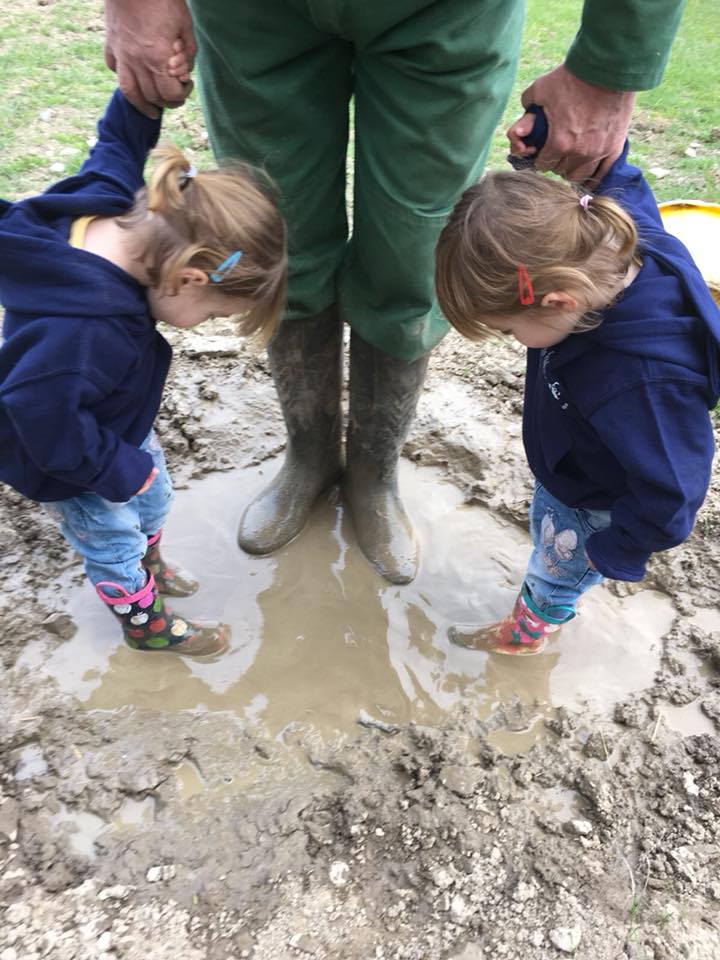 The popitha twins at North Bradbury Farm with Farmer Chris playing in the pigs wallow
